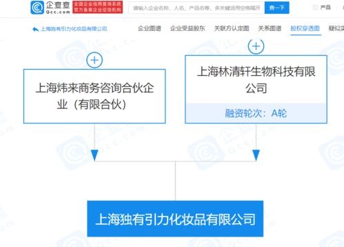 林清軒經(jīng)營(yíng)公司拓展業(yè)務(wù)版圖，新設(shè)化妝品公司并布局電子商務(wù)與計(jì)算機(jī)軟硬件