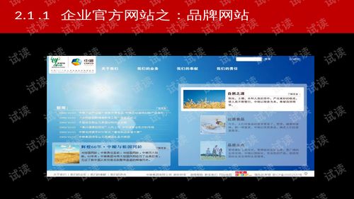 淘寶電子商務(wù)運(yùn)營(yíng)解決方案